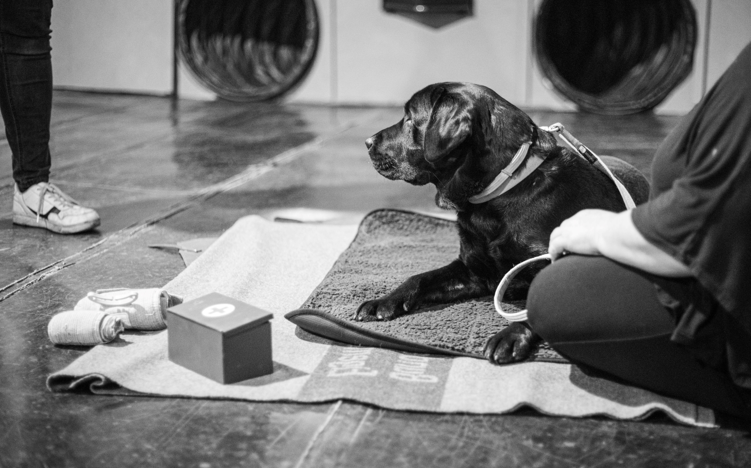 Erste Hilfe Kurs im dogs sportcenter Iserlohn