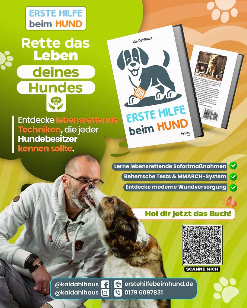 Erste Hilfe Buch Kai Dahlhaus
